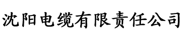 无码不卡AV东京热毛片电缆厂logo